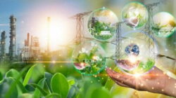 Who cares about energy efficiency?