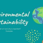 How have you contributed to environmental sustainability?