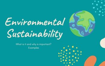 How have you contributed to environmental sustainability?