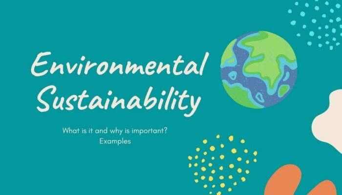 How have you contributed to environmental sustainability?