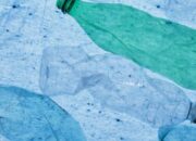 going vegan or going plastic free?