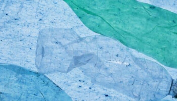 going vegan or going plastic free?