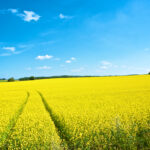 Which field of Physics involves a lot of research?