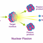 What are the quantum roots of nuclear fission?