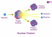 What are the quantum roots of nuclear fission?