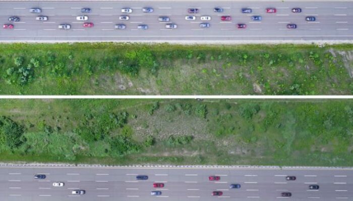 Cruise Control for Traffic: Physics Helps Avoid the Jam