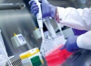 Should I Major in Biology Biotech or Biochem? A Molecular Showdown