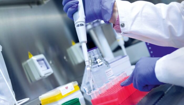 Should I Major in Biology Biotech or Biochem? A Molecular Showdown