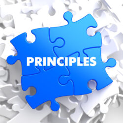 What are the principles of environmental ethics?