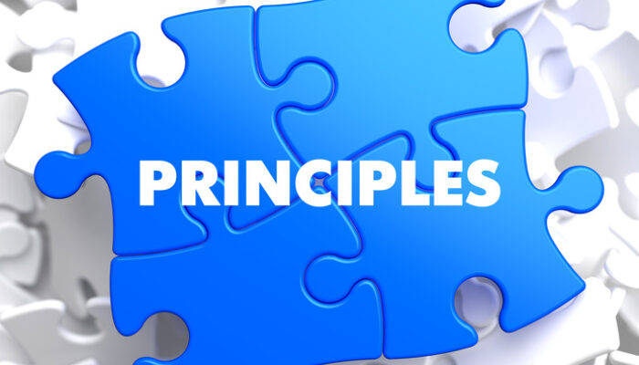What are the principles of environmental ethics?