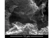 How Graphene Boosts Thermal Conductivity of Plastics