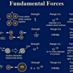 How were the details of the strong force determined?