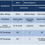 What is the strong force and the weak force?
