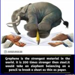 Which are some of the applications of graphene?