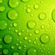 Green Light for European X-Ray Laser: Lighting Up Atomic Worlds