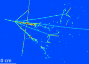 Is high energy physics dying?