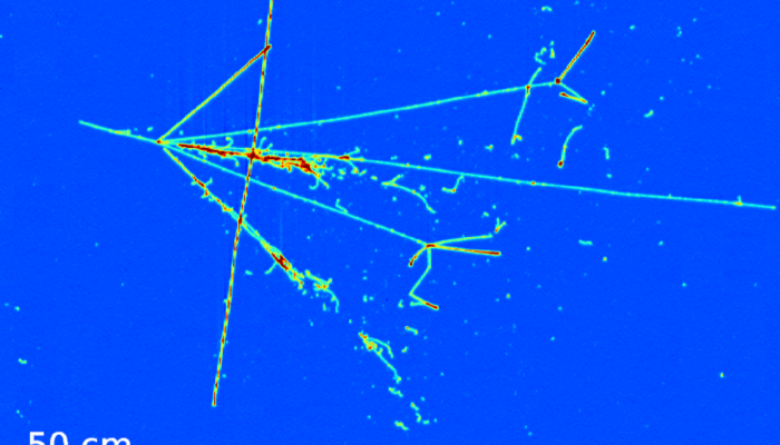 Is high energy physics dying?