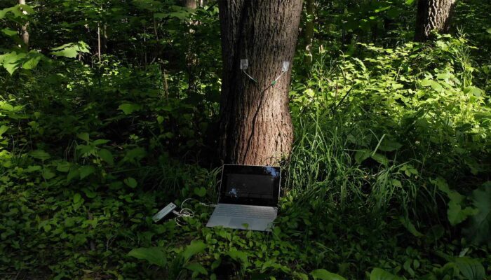 From Quantum Fields to Healing Fields: Is Physics the Future of Medicine?