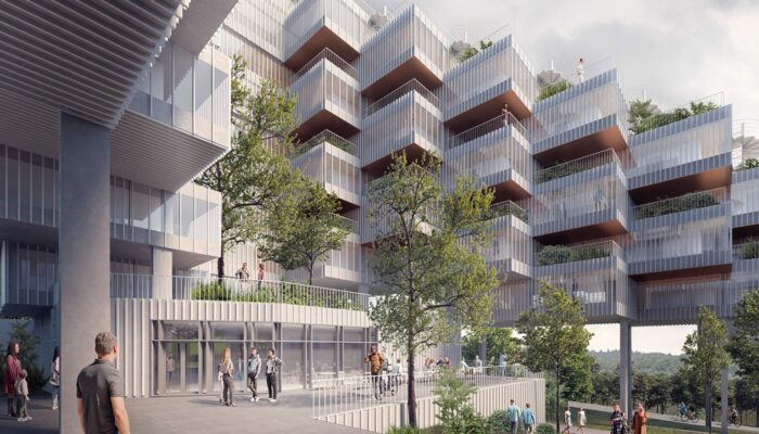 How would a 2D human live their life?