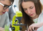 What career should I get if I want to study just atoms?