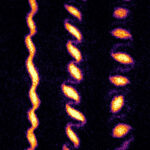 Ultracold Quartet: Four Atoms One Quantum Performance