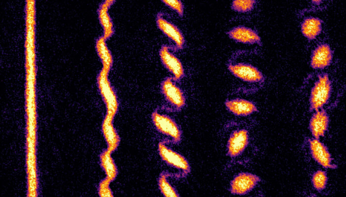 Ultracold Quartet: Four Atoms One Quantum Performance