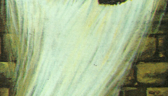 Ghost Particles or Something More? Fermilab’s Haunting Hints