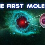 How did the first molecules come to be from evolution?