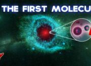 How did the first molecules come to be from evolution?