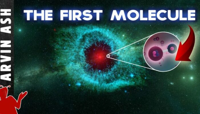 How did the first molecules come to be from evolution?