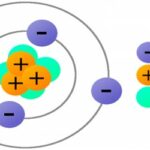 What are neutrons