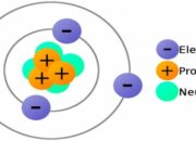 What are neutrons