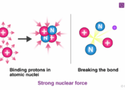 What is the ‘strong nuclear force’ in physics?