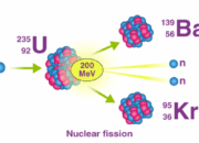 What is the physical meaning of yield of a nuclear reaction?