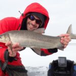 Catching the Wavefunction: Elusive No More?