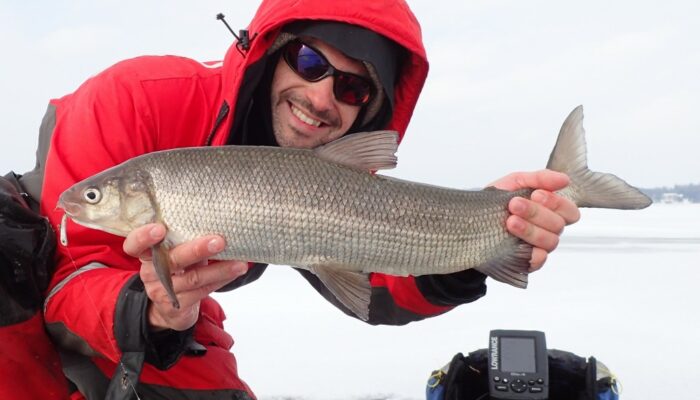 Catching the Wavefunction: Elusive No More?