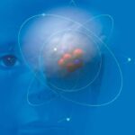 Forming a Critical Mass of Experts: The Physics of Thought Leadership