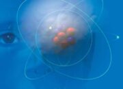 Forming a Critical Mass of Experts: The Physics of Thought Leadership