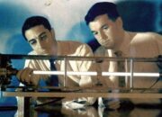 What Made Bell Labs Special: The Physics of Innovation Culture