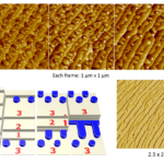 Should I do a Ph.D. in Graphene?
