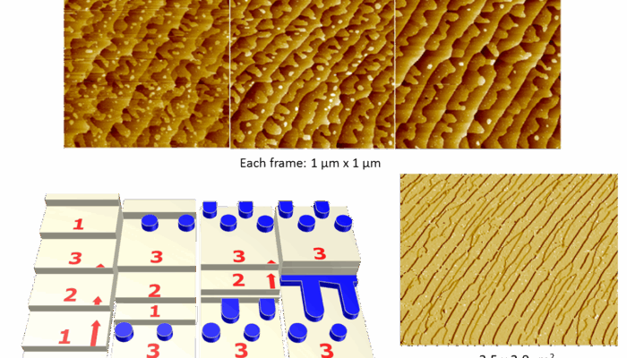 Should I do a Ph.D. in Graphene?