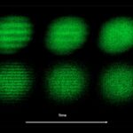 Laser Traps: Holding Electrons Still with Light