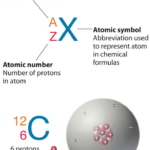 Nucleons: The Power Players in Every Atom