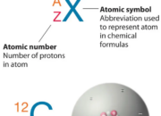 Nucleons: The Power Players in Every Atom