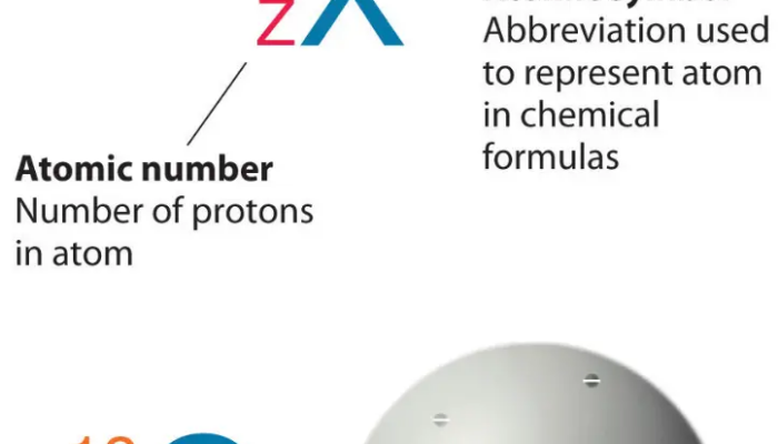 Nucleons: The Power Players in Every Atom