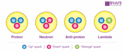 What is a quark
