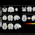Is neuroscience a logical area of research for a physicist?