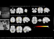Is neuroscience a logical area of research for a physicist?