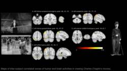 Is neuroscience a logical area of research for a physicist?