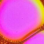 How to Fall in Love with Soft Matter Physics (and Still Respect Hard Stuff)